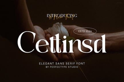 Cettinsd Elegant Serif Font Typeface