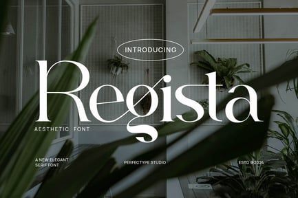 Regista Elegant Ligature Serif Font Typeface