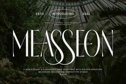 Measseon Elegant Ligature Serif Font Typeface