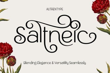 Saltnic Sans Serif Font