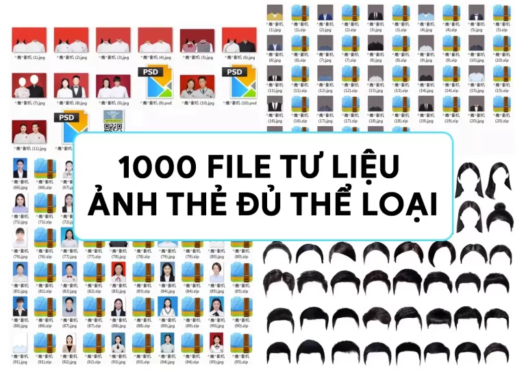 1000 File tư liệu ảnh thẻ đủ thể loại