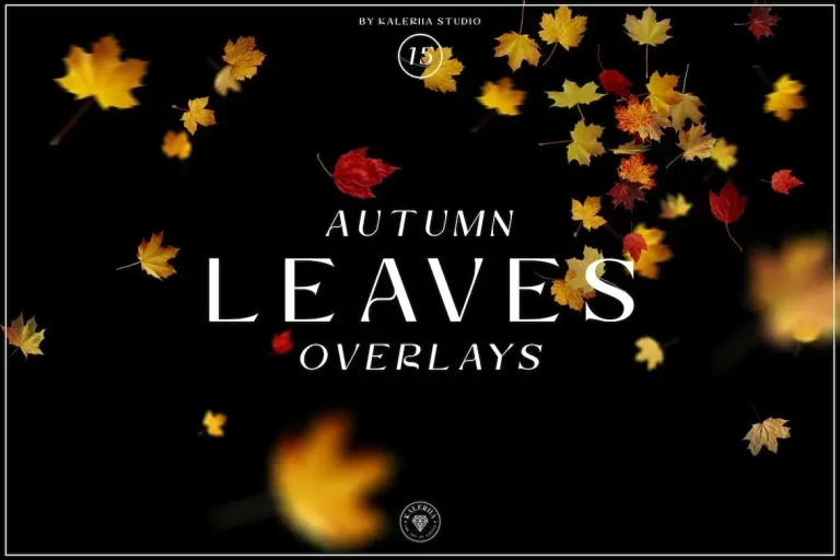 Overlay lá mùa thu