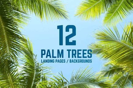 12 Palm Trees Against Blue Sky Backgrounds