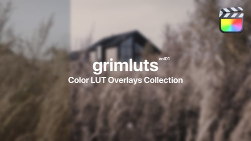 Grim Presets for Final Cut Pro Vol. 01