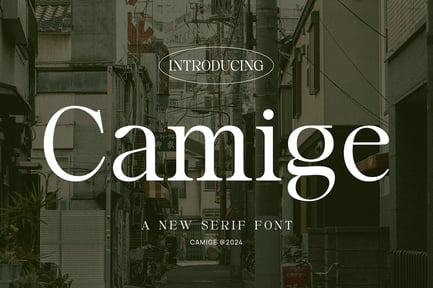 Camige – Classy & Stylish Serif