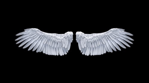 Angel Wings