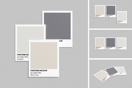 Pantone Card Mockup