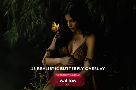 Butterfly png and moth png transparent overlays