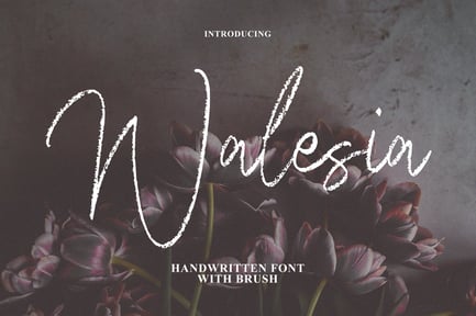 Walesia – Signature Brush