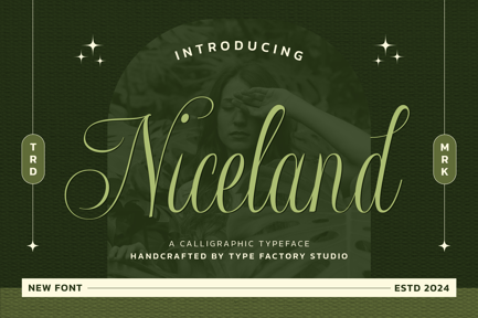 Niceland – Calligraphic Typeface