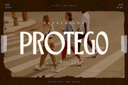 Protego – Unique Sans Display
