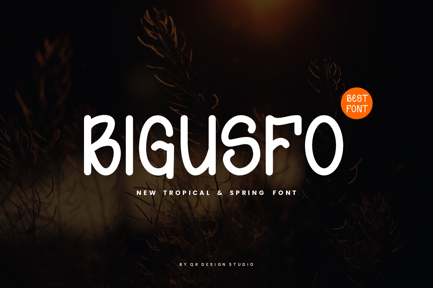 Bigusfo – Tropical & Spring Font
