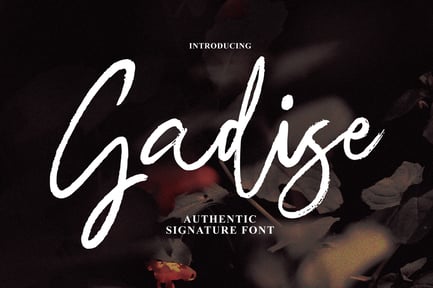 Gadise Signature Brush
