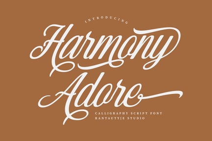 Harmony Adore Modern Script Font