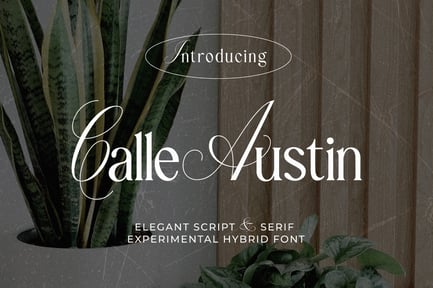 Calle Austin – Experimental Font