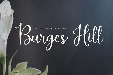 Burges Hill – Modern Script Font