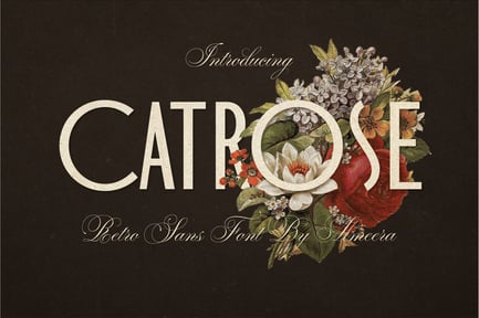 Catrose | Retro Sans