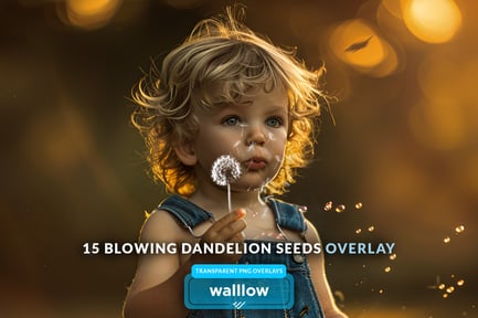 Blowing dandelion flowers transparent png overlays