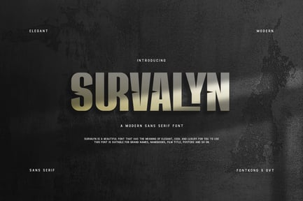 Survalyn – Modern Sans Serif Font