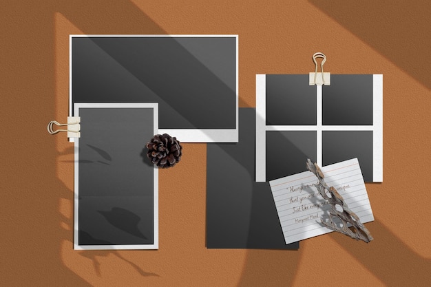 Arrangement of polaroids notes and a pine cone