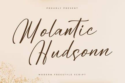 Molantic Hudsonn Modern Freestyle Script