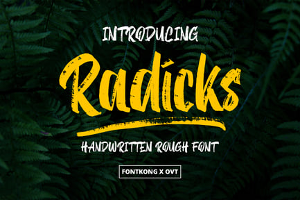 Radicks – Handwritten Rough Font