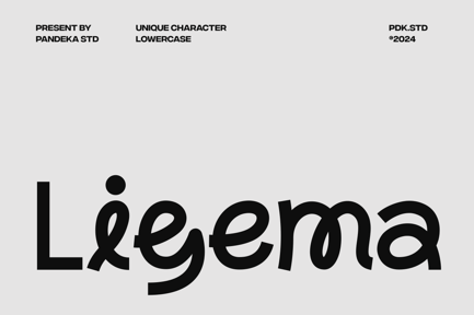 Ligema – Modern Experimental Sans