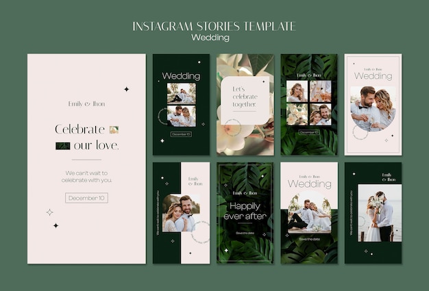 Wedding  celebration  instagram stories