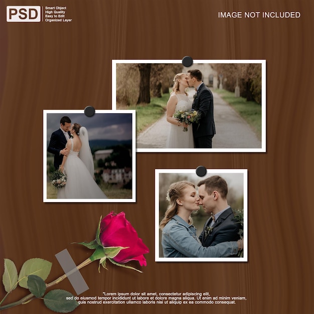 Portrait torn paper photo frame mockup with flower background