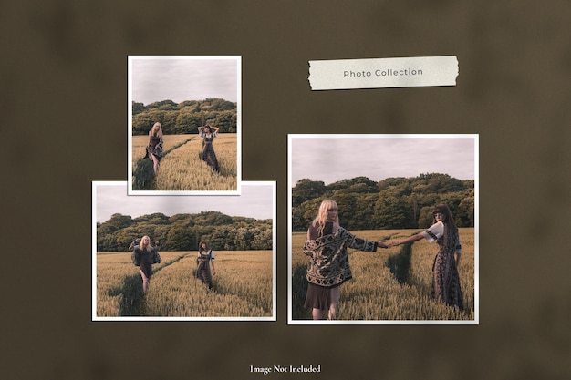 Torn paper photo frame set mockup with natural tree and leaves shadow overlay