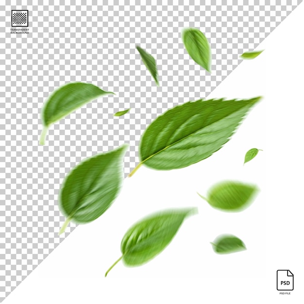 Flying leaves isolated on white background psd